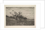 Tree Filled with Crows, 1867 by Charles Francois Daubigny