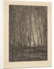 Deer in the Woods, 1850 by Charles Francois Daubigny