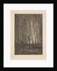 Deer in the Woods, 1850 by Charles Francois Daubigny