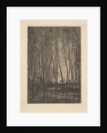 Deer in the Woods, 1850 by Charles Francois Daubigny