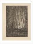 Deer in the Woods, 1850 by Charles Francois Daubigny