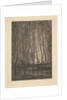 Deer in the Woods, 1850 by Charles Francois Daubigny