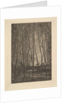 Deer in the Woods, 1850 by Charles Francois Daubigny