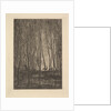 Deer in the Woods, 1850 by Charles Francois Daubigny