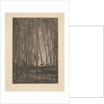 Deer in the Woods, 1850 by Charles Francois Daubigny
