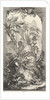 Rocaille, ca. 1737 by Claude Augustin Duflos le Jeune