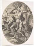 Cyparissus from set The Rural Gods, 1565 by Cornelis Cort