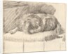 Sleeping Dog, 1777 by Cornelis Ploos van Amstel