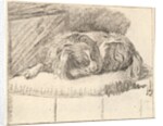 Sleeping Dog, 1777 by Cornelis Ploos van Amstel