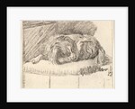 Sleeping Dog, 1777 by Cornelis Ploos van Amstel