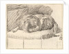 Sleeping Dog, 1777 by Cornelis Ploos van Amstel