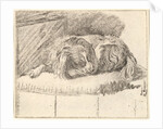 Sleeping Dog, 1777 by Cornelis Ploos van Amstel