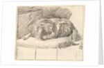 Sleeping Dog, 1777 by Cornelis Ploos van Amstel