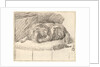 Sleeping Dog, 1777 by Cornelis Ploos van Amstel