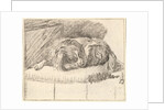 Sleeping Dog, 1777 by Cornelis Ploos van Amstel