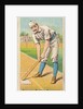 Strauss, Batter, Milwaukee, from the Gold Coin series for Gold Coin Chewing Tobacco, 1887 by D Buchner & Co