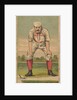 Sutton, 3rd Base, Boston, from the Gold Coin series for Gold Coin Chewing Tobacco, 1887 by D Buchner & Co