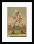 Sutton, 3rd Base, Boston, from the Gold Coin series for Gold Coin Chewing Tobacco, 1887 by D Buchner & Co