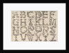 Ornamented Roman Majuscule Alphabet, ca. 1520 by Daniel Hopfer
