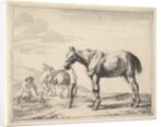 Horse Bound to a Post, turned left by Dirck Stoop