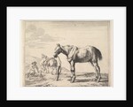 Horse Bound to a Post, turned left by Dirck Stoop