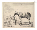 Horse Bound to a Post, turned left by Dirck Stoop