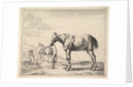 Horse Bound to a Post, turned left by Dirck Stoop