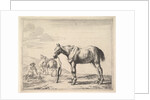 Horse Bound to a Post, turned left by Dirck Stoop