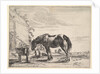 Horse Bound to a Feeding Trough by Dirck Stoop