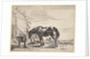 Horse Bound to a Feeding Trough by Dirck Stoop