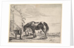 Horse Bound to a Feeding Trough by Dirck Stoop