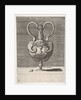Antique Lidded Vase with Two Handles emerging from the Heads of Hybrid Female Sph…, 1543 or after by Enea Vico