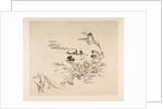 Decoration for a Plate: A Pond, 1870 by Felix Bracquemond