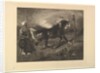 Cheval arabe au piquet, d'après Delacroix, 1857 by Felix Bracquemond