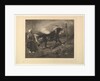 Cheval arabe au piquet, d'après Delacroix, 1857 by Felix Bracquemond