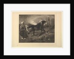 Cheval arabe au piquet, d'après Delacroix, 1857 by Felix Bracquemond