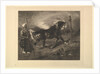 Cheval arabe au piquet, d'après Delacroix, 1857 by Felix Bracquemond