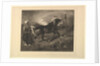 Cheval arabe au piquet, d'après Delacroix, 1857 by Felix Bracquemond