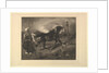 Cheval arabe au piquet, d'après Delacroix, 1857 by Felix Bracquemond