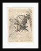 Helmeted head, 1662-78 by Francis Place