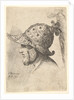 Helmeted head, 1662-78 by Francis Place