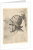 Helmeted head, 1662-78 by Francis Place