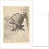 Helmeted head, 1662-78 by Francis Place