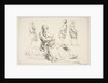 Sheet of Sketches, 1753 by Francois Boucher