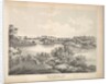 View in Central Park with Balcony Bridge and Oak Bridge, 1861 by George Hayward