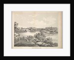 View in Central Park with Balcony Bridge and Oak Bridge, 1861 by George Hayward