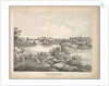 View in Central Park with Balcony Bridge and Oak Bridge, 1861 by George Hayward