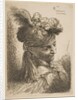 Young man facing three quaters right wearing a fur headdress with a plume, jewel an…, ca. 1645-50 by Giovanni Benedetto Castiglione