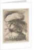Young man with a trumpet facing left, from the series of 'Small Heads in Oriental…, ca. 1645-1650 by Giovanni Benedetto Castiglione