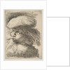 Young man with a trumpet facing left, from the series of 'Small Heads in Oriental…, ca. 1645-1650 by Giovanni Benedetto Castiglione